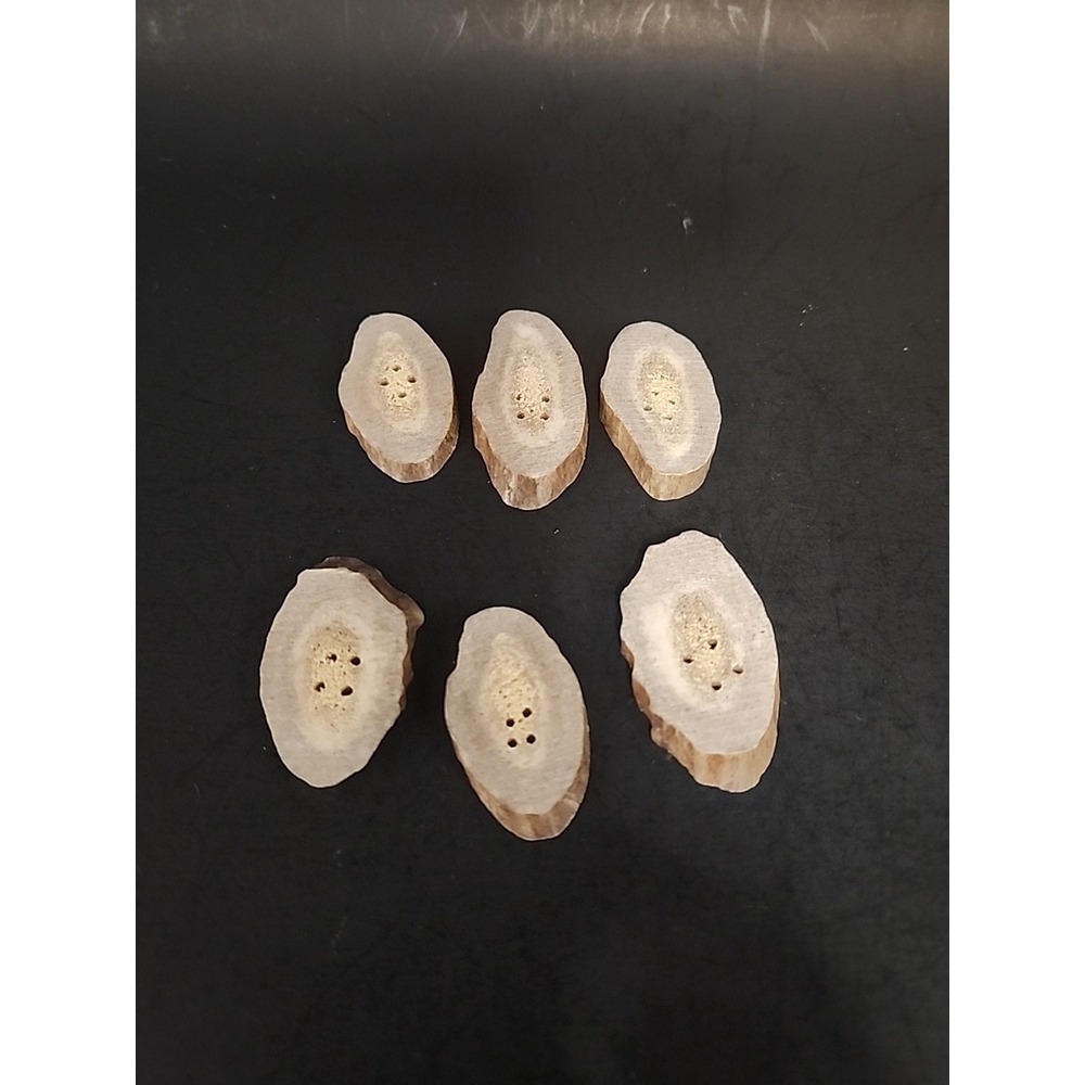 6 Piece Set Of Raw‎ Antler Buttons 1.25" - 1.5" Long Deer Antler Buttons